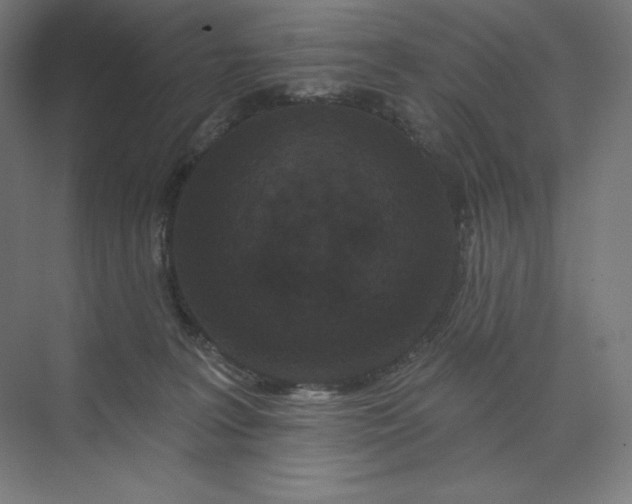 X0000074010227200609061058