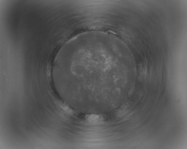 X0000074010230200609061058