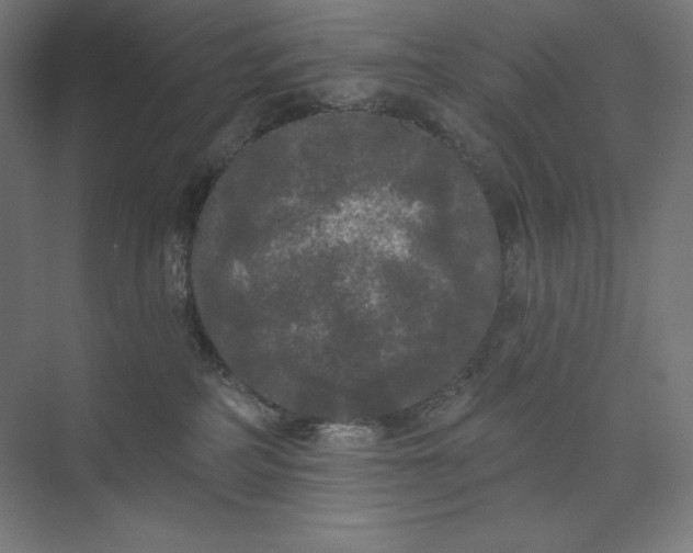 X0000074010234200609061058