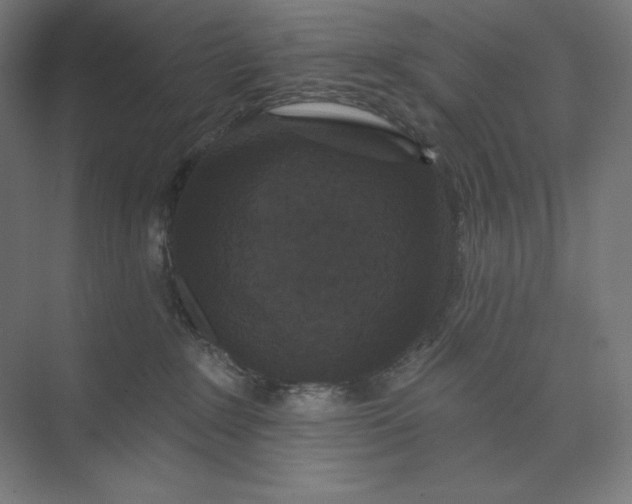 X0000074010235200609061058