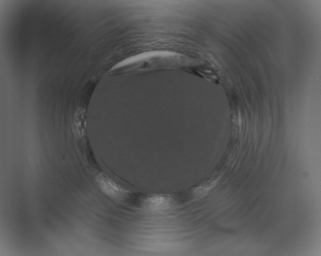 X0000074010237200609061057