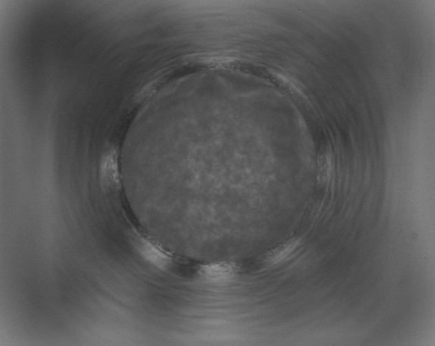 X0000074010238200609061057