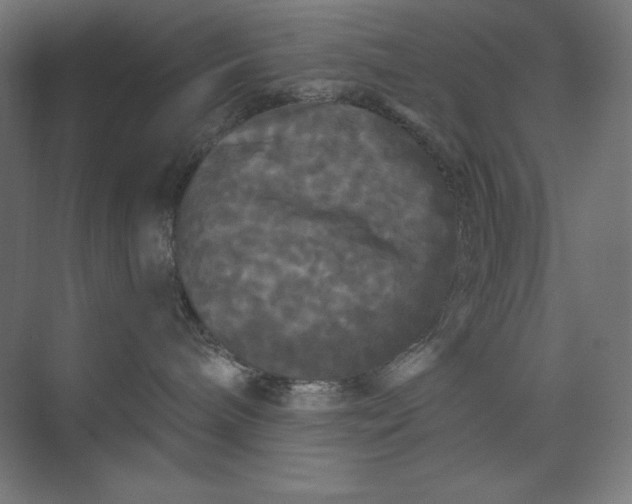 X0000074010240200609061057