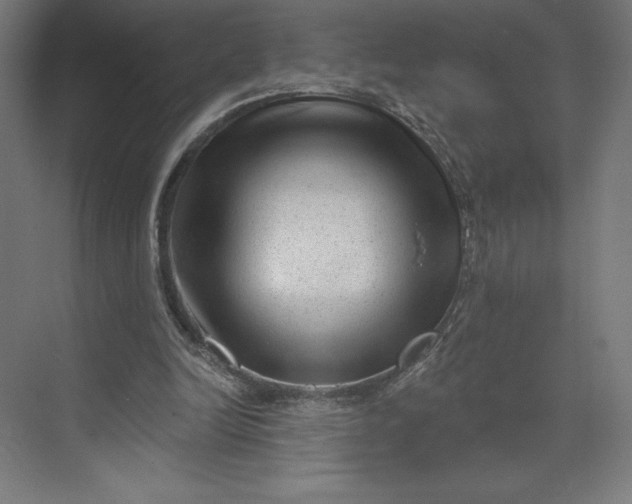 X0000074010246200609061057