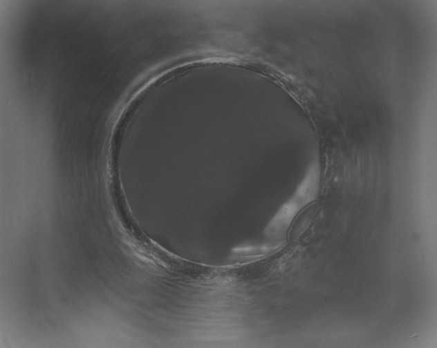 X0000074010247200609061057