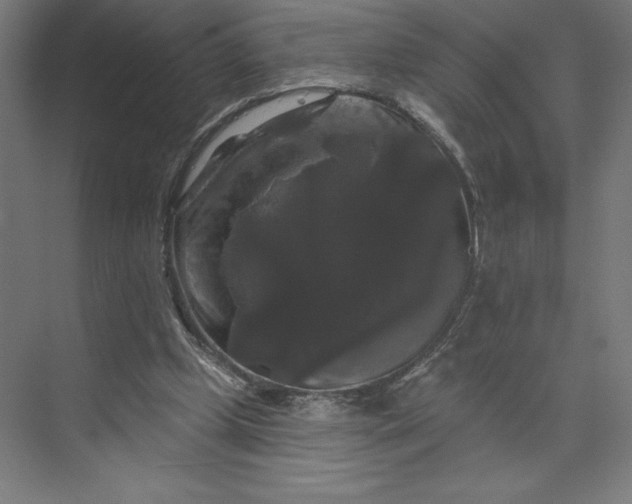 X0000074010249200609061057