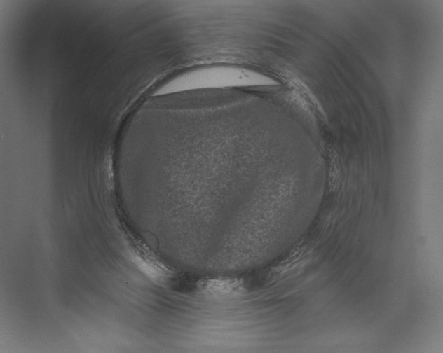 X0000074010251200609061057