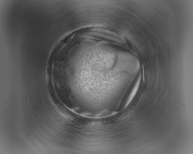 X0000074010252200609061057