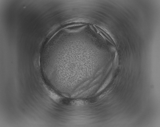 X0000074010253200609061057