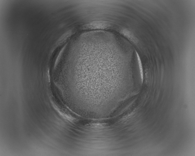 X0000074010254200609061057