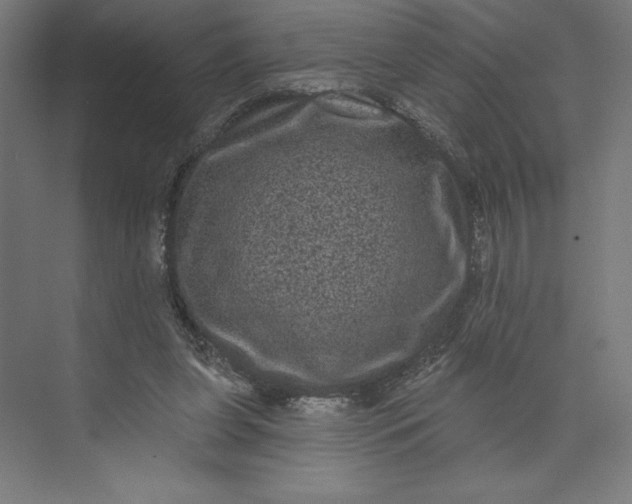 X0000074010255200609061057