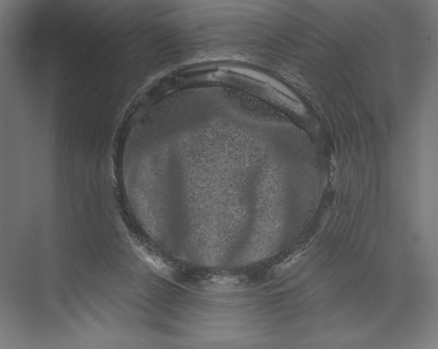 X0000074010256200609061057