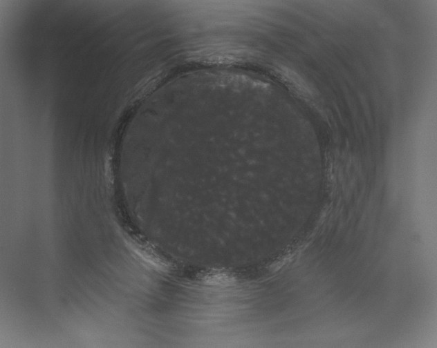 X0000074010258200609061057