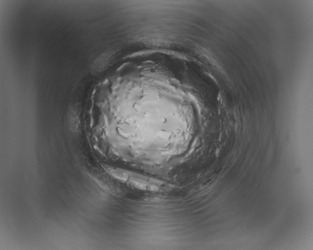 X0000074010259200609061057