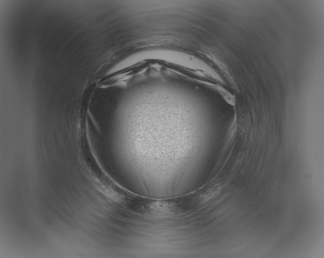 X0000074010261200609061057