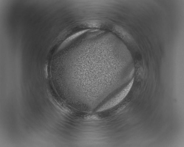 X0000074010262200609061057