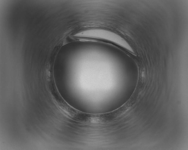 X0000074010264200609061057