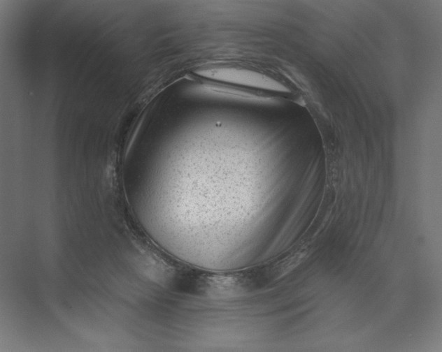 X0000074010265200609061057