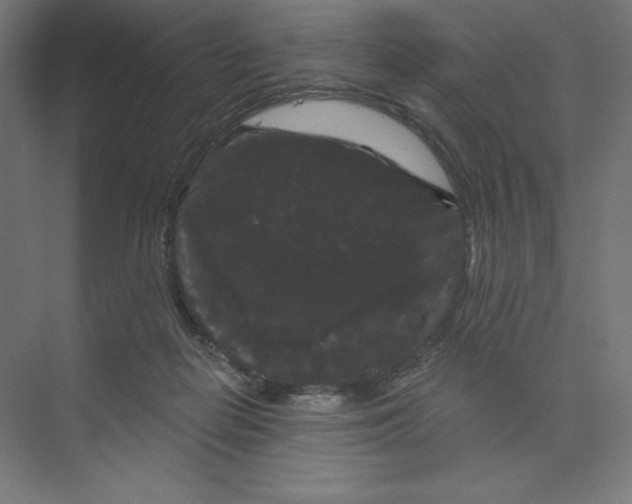 X0000074010266200609061057