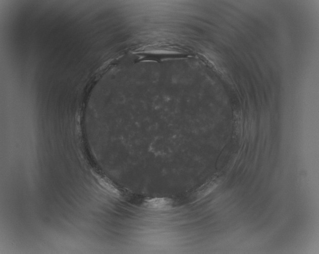 X0000074010269200609061057