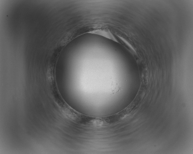 X0000074010272200609061057