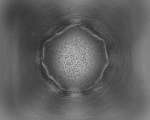 X0000074010274200609061057