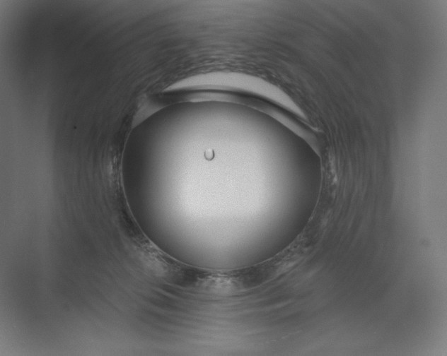 X0000074010276200609061057