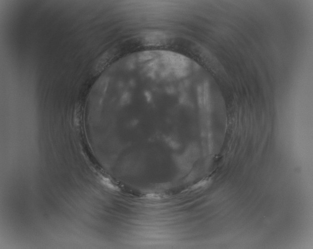 X0000074010277200609061057