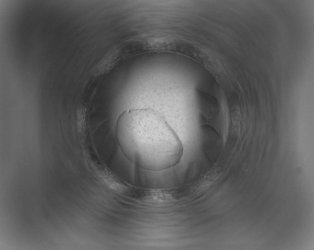 X0000074010278200609061057