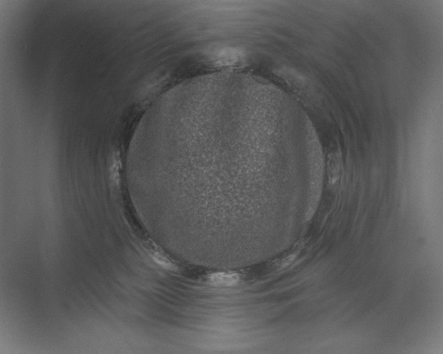 X0000074010279200609061057