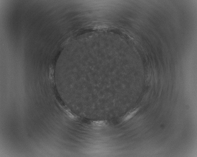 X0000074010281200609061057