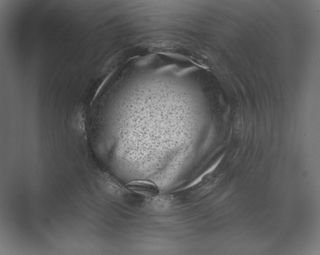 X0000074010282200609061057