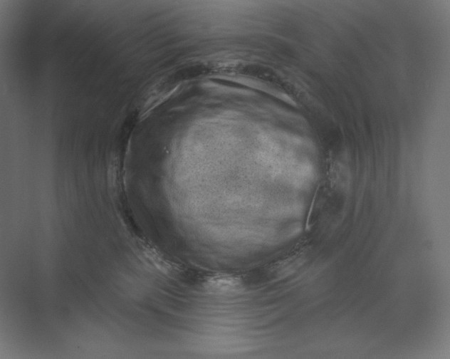 X0000074010283200609061057