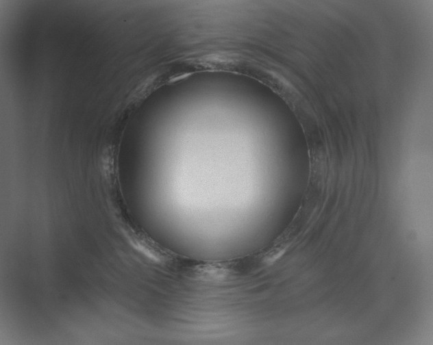 X0000074010284200609061057