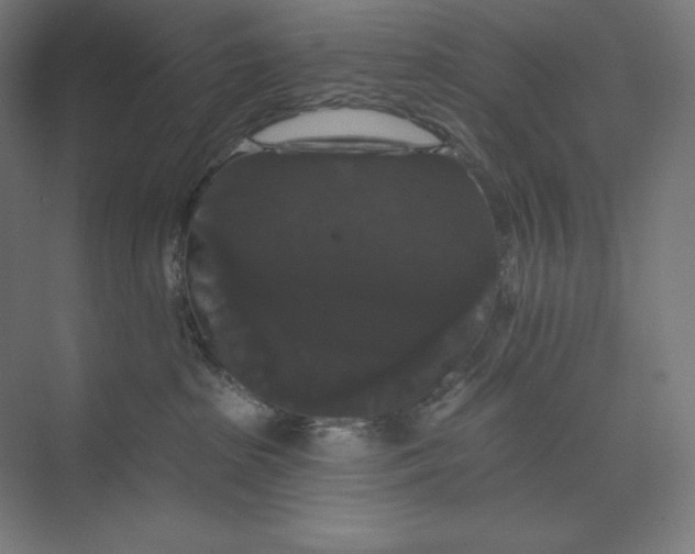 X0000074010285200609061057