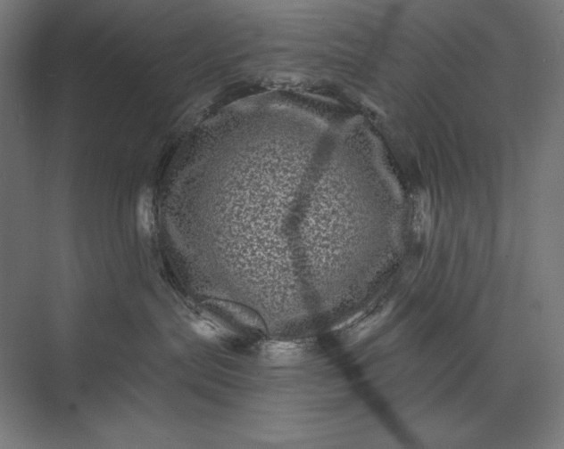 X0000074010287200609061057