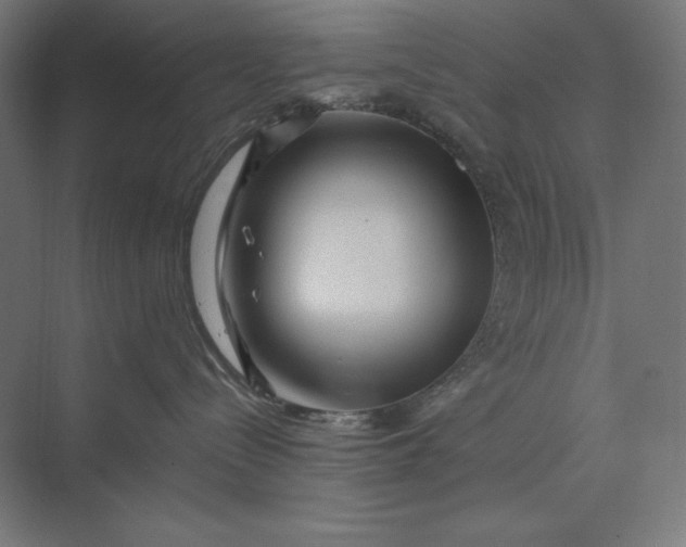 X0000074010288200609061057