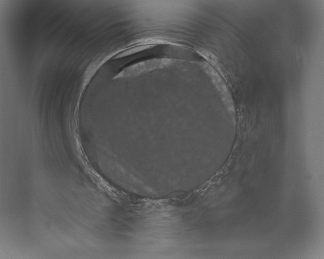 X0000074010289200609061057