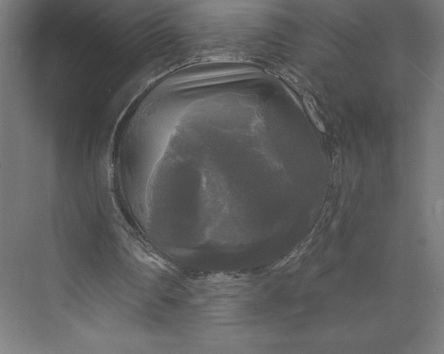 X0000074010290200609061057