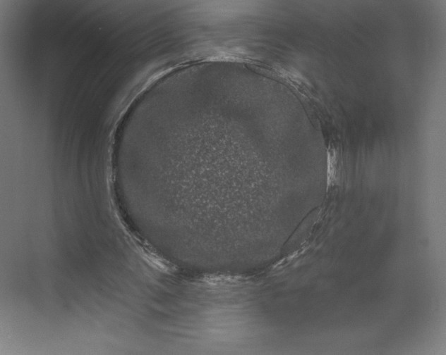 X0000074010291200609061057