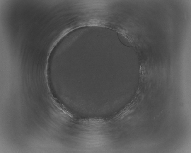 X0000074010292200609061057