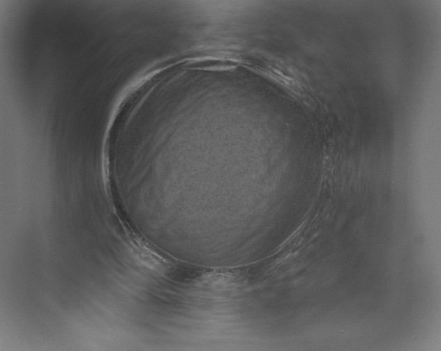 X0000074010294200609061057