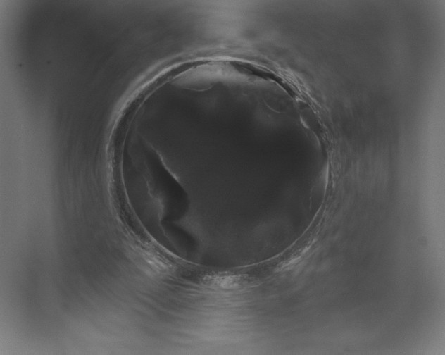 X0000074010295200609061057