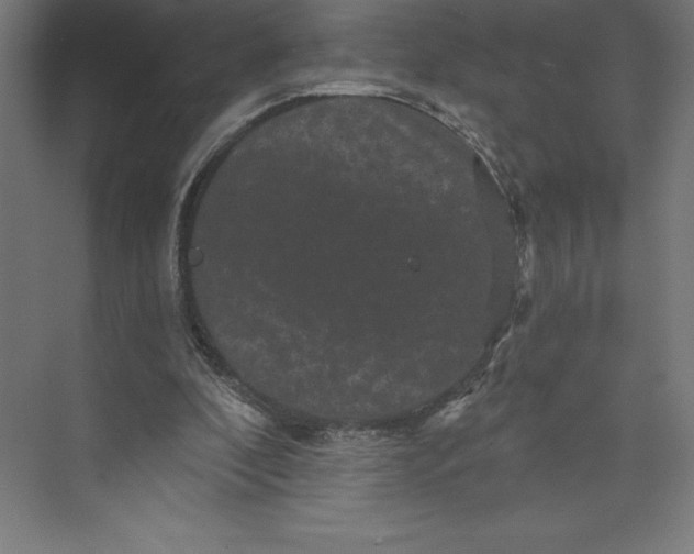 X0000074010296200609061056