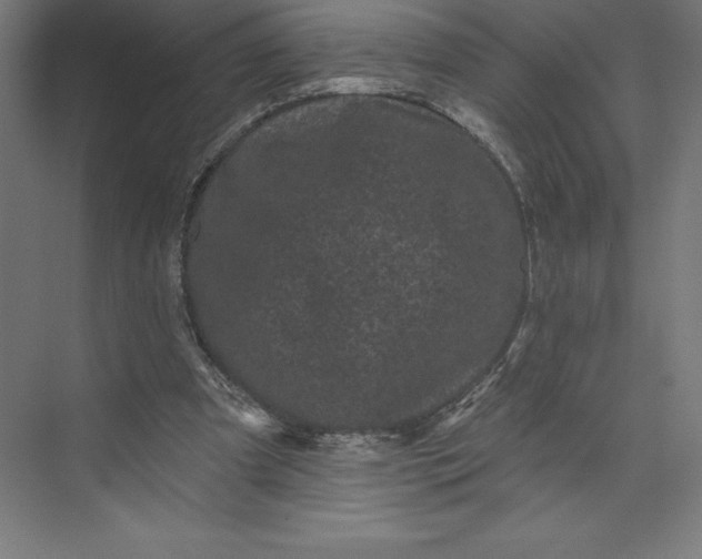 X0000074010297200609061056