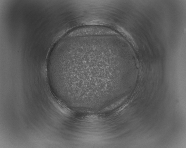 X0000074010298200609061056