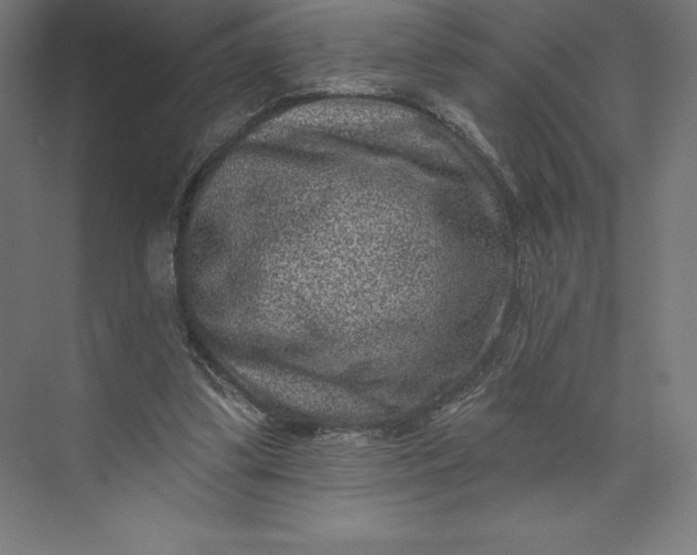 X0000074010299200609061056