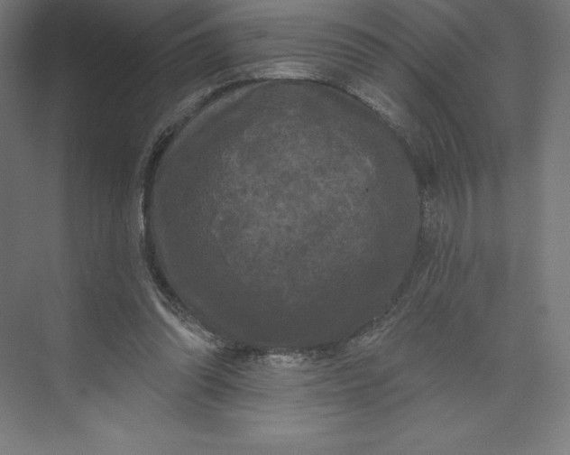 X0000074010302200609061056