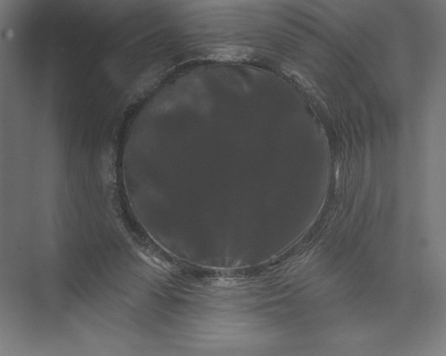 X0000074010303200609061056