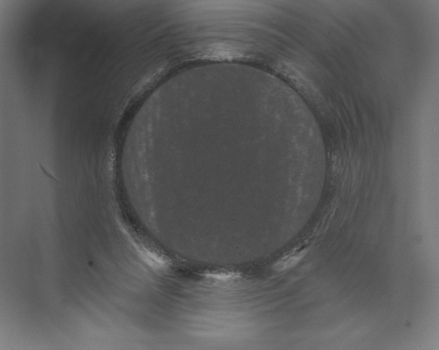 X0000074010304200609061056